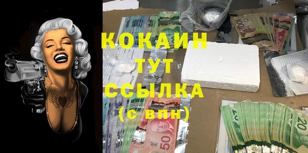 стаф Каменногорск