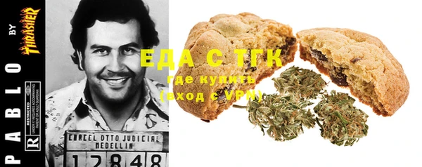 стаф Каменногорск